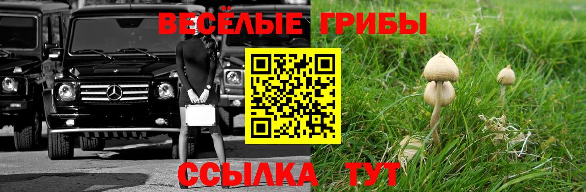 Псилоцибиновые грибы Psilocybe Челябинск